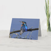 De rustende Kaart van de Ijsvogel (Achterkant)