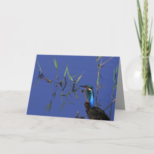 De rustende Kaart van de Ijsvogel (Voorkant)