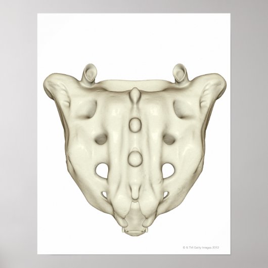 De sacrum poster (Voorkant)