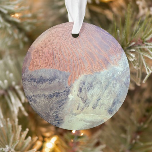 De Saharawoestijn in Algerije, Noord-Afrika. Ornament (Boom)