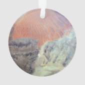 De Saharawoestijn in Algerije, Noord-Afrika. Ornament (achterkant)