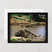 De Samburu Briefkaart (Voorkant / Achterkant)