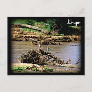 De Samburu Briefkaart