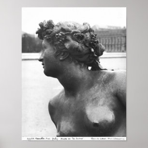 De Saone van de Parterre Poster