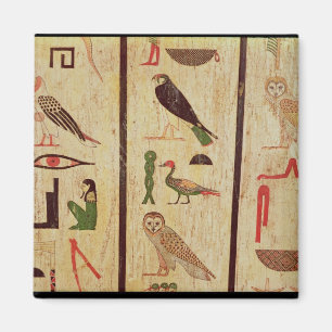 De sarcofaag van Psamtik I (664-610 BC) - gegevens Magneet