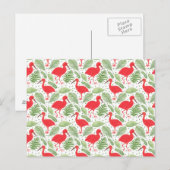 De Scarlet Ibis Briefkaart (Voorkant / Achterkant)