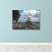 De scène van de Natuur vertakken Canvas Afdruk (Insitu (Houten vloer))