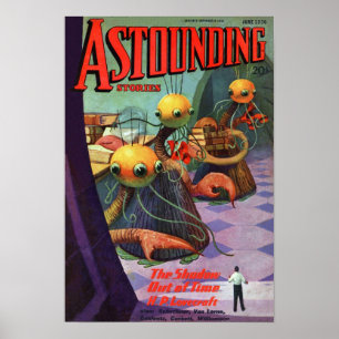 De Schaduw uit Tijd Poster