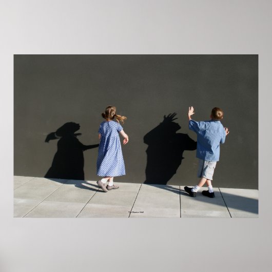 De schaduwmuur poster (Voorkant)