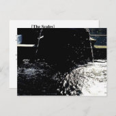 DE SCHALEN BRIEFKAART (Voorkant / Achterkant)