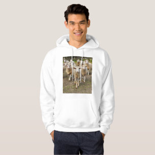 De schapen komen in Hurrah marcheren, Hoodie