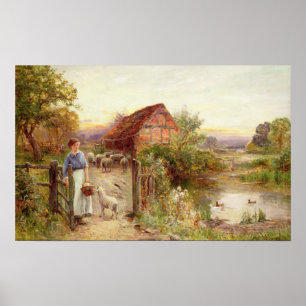 De schapen thuis brengen poster