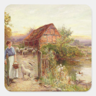 De schapen thuis brengen vierkante sticker