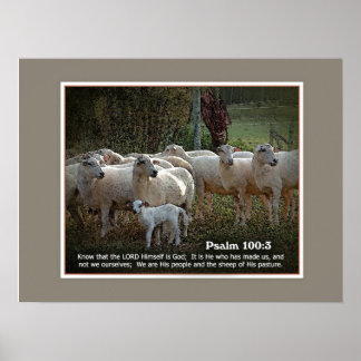 De schapen van Zijn PasturewScripture Poster