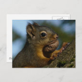 De schatten van een Chipmunk Briefkaart (Voorkant / Achterkant)