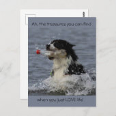 De schatten van het leven, briefkaart (Voorkant / Achterkant)