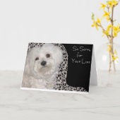 De schattige Maltese Kaart van de Sympathie - (Gele Bloem)