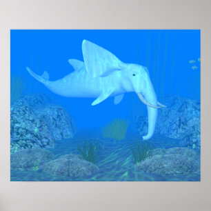 De Schattige walvisvaarder Poster