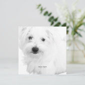 De Schattigee Maltezer hondenfeestje ooit Kaart (Staand voorkant)