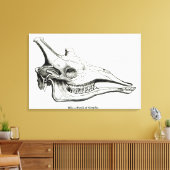 De schedel van een Giraffe Canvas Afdruk (Insitu (Woonkamer))
