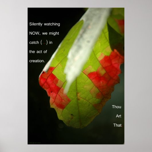 De scheppingsdaad poster (Voorkant)