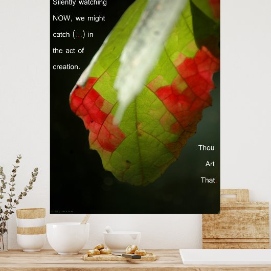 De scheppingsdaad poster (Keuken)