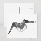 De schetsbriefkaart van de knuppel door Nicole Briefkaart (Voorkant / Achterkant)