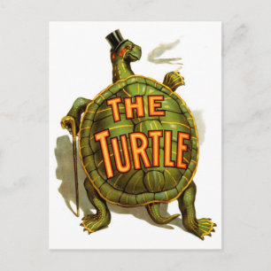 De schildpad briefkaart
