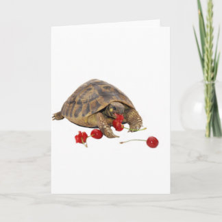 De Schildpad en de Aardbeien van Hermann Kaart