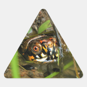 De Schildpad en de Kikkervisjes van de doos Driehoek Sticker