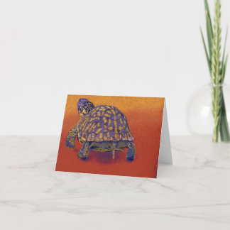 De Schildpad van de doos, schildpad Kaart