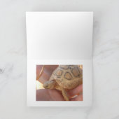 De Schildpad van het baby Kaart (Binnen)