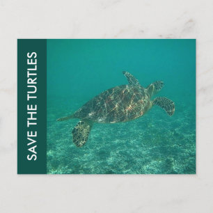 de schildpadden redden briefkaart