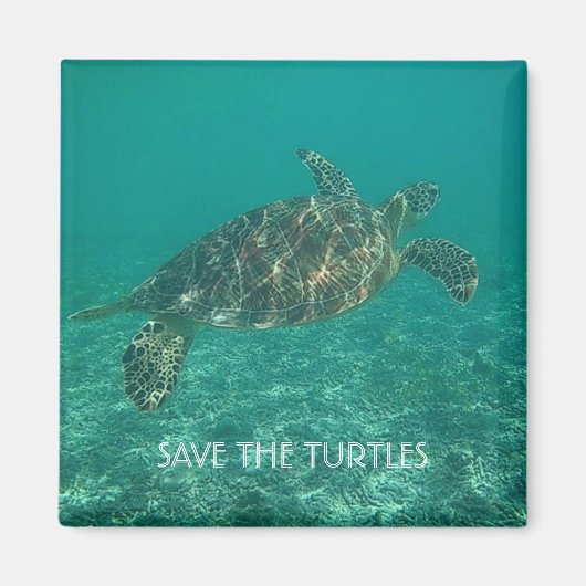 de schildpadden redden magneet (Voorkant)
