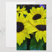 DE SCHITTERENDE ZONNEBLOEMEN VAN DE TUIN BRIEFPAPIER (Voorkant / Achterkant)