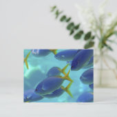 De school is weg. briefkaart (Staand voorkant)