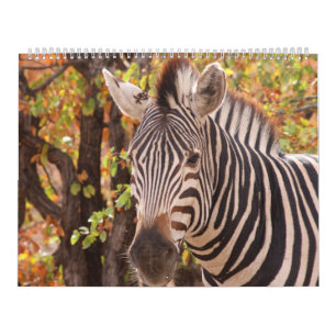 De schoonheid van Afrika Kalender