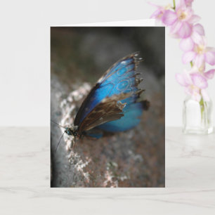 "De schoonheid van binnen" Blauwe Vlinder Kaart
