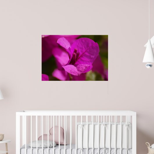 De Schoonheid van bougainvillea Poster (Kinderkamer 2)