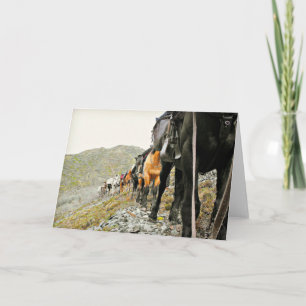 De schoonheid van Chisana Kaart