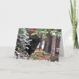 De schoonheid van Chisana Kaart