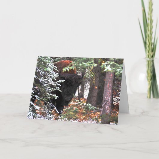 De schoonheid van Chisana Kaart (Voorkant)