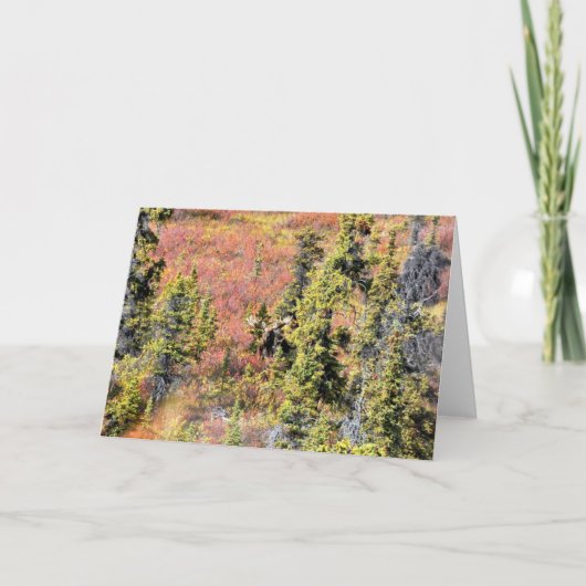 De schoonheid van Chisana Kaart (Voorkant)