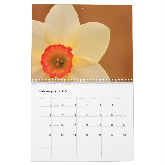 De schoonheid van Daffodils Kalender (Feb 2026)