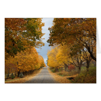 "De schoonheid van de herfst"