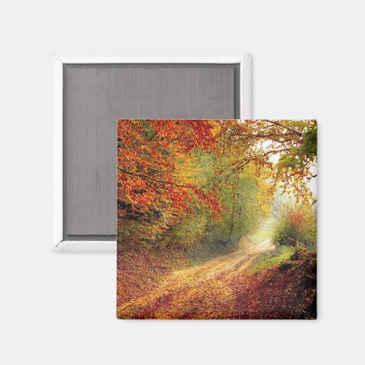 De schoonheid van de herfst magneet (Voorkant / Achterkant)