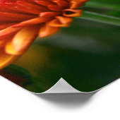 De schoonheid van de Herfst Poster (Hoek)