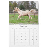 De schoonheid van de Kalender van Horses (Jan 2027)