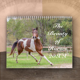 De schoonheid van de Kalender van Horses