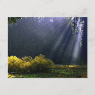 De schoonheid van de Natuur van Moeder Briefkaart